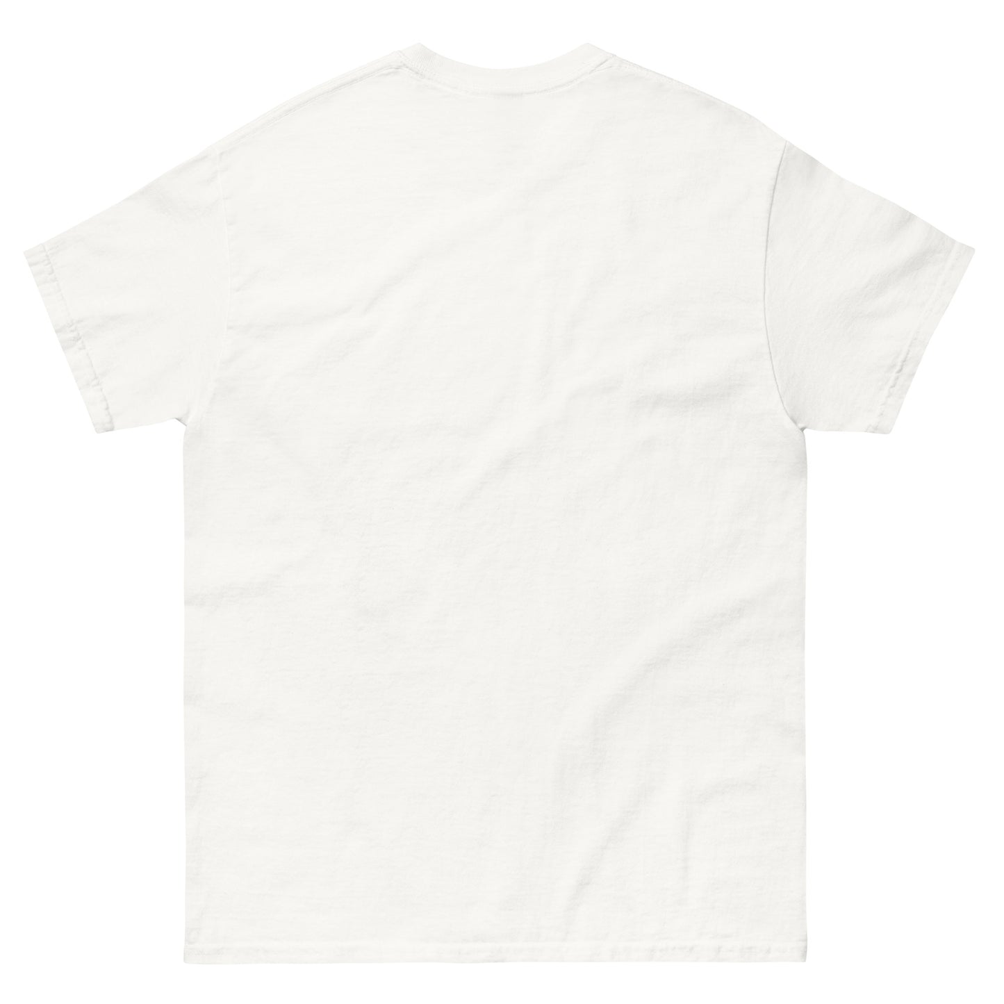 Life is a Test A+ classic tee